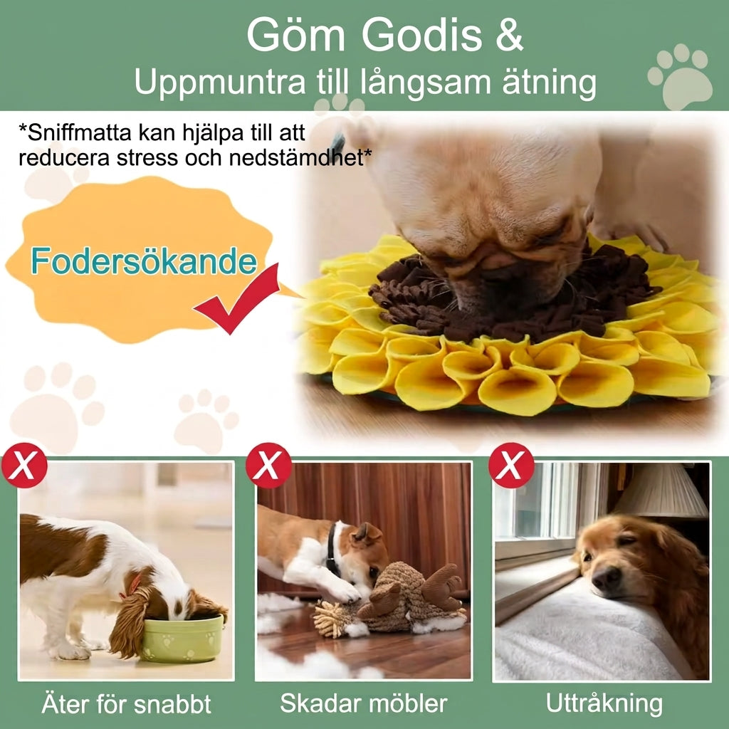 Aktiveringsmatta "Solros" – Minska stress & stimulera din hund
