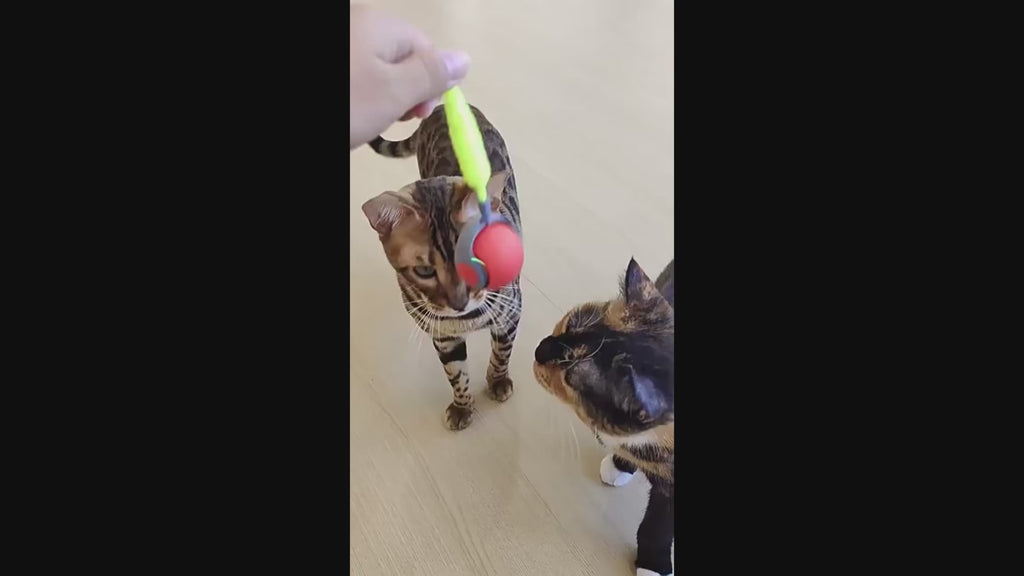 Interaktiv Rullande Aktiveringsboll för Katt & Hund – med Fjädrar, Svans & USB-laddning